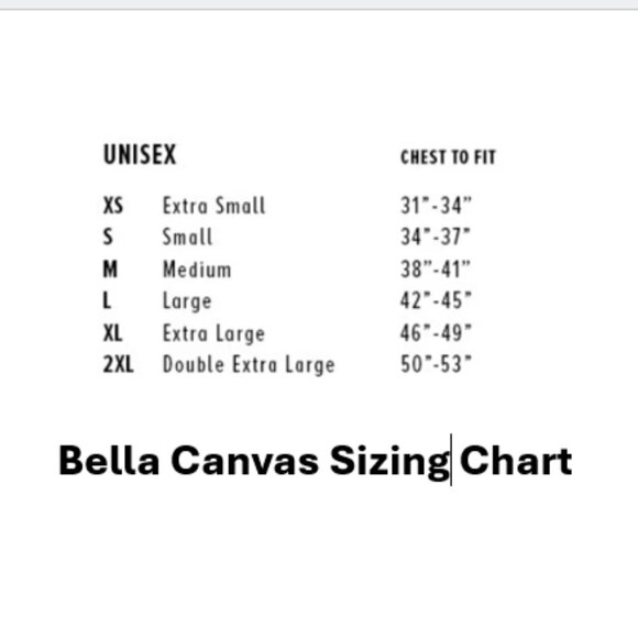 *Discounted Shirt* Merry and Bright Shirt Holiday Shirt Bellas Canvas Shirt - Picture 4 of 4